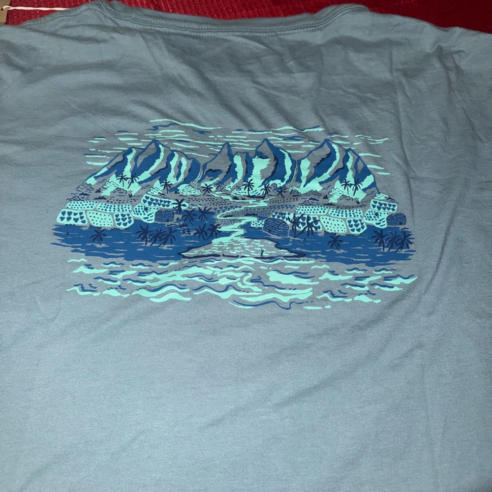 Patagonia Teal Hawaii Graphic Tee